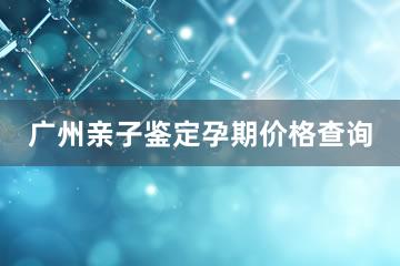 广州亲子鉴定孕期价格查询