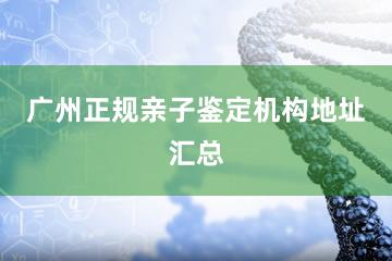 广州正规亲子鉴定机构地址汇总