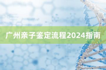 广州亲子鉴定流程2024指南