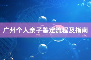 广州个人亲子鉴定流程及指南