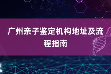 广州亲子鉴定机构地址及流程指南