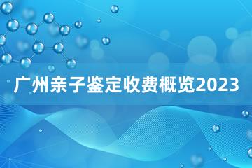 广州亲子鉴定收费概览2023