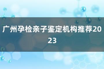 广州孕检亲子鉴定机构推荐2023