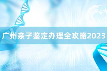 广州亲子鉴定办理全攻略2023