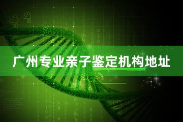 广州专业亲子鉴定机构地址