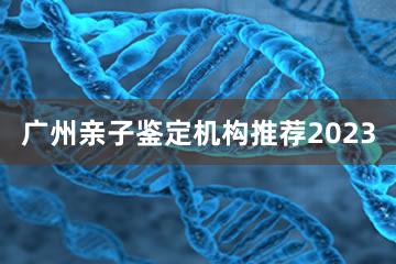 广州亲子鉴定机构推荐2023